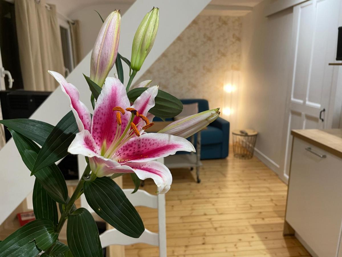 Houlgate Appartement La Briarde Экстерьер фото